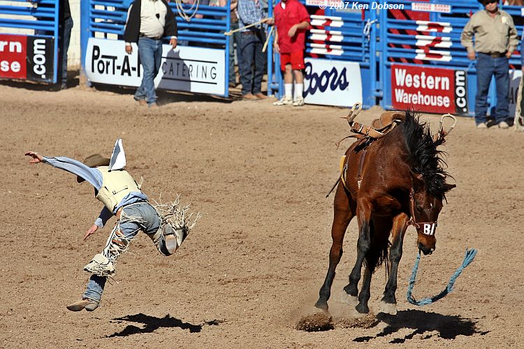 Gettin Bucked