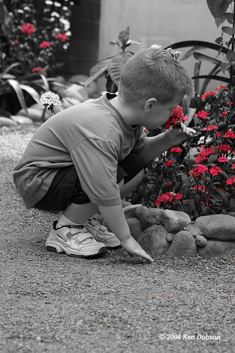 Flower Sniffer