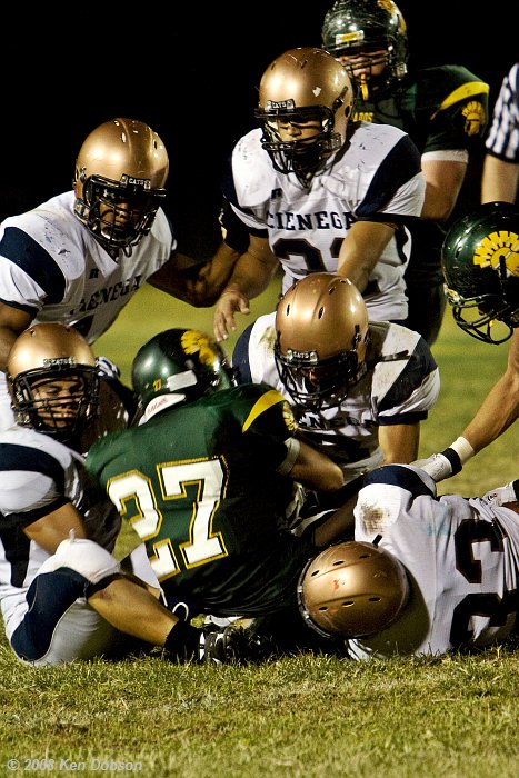 Dog Pile