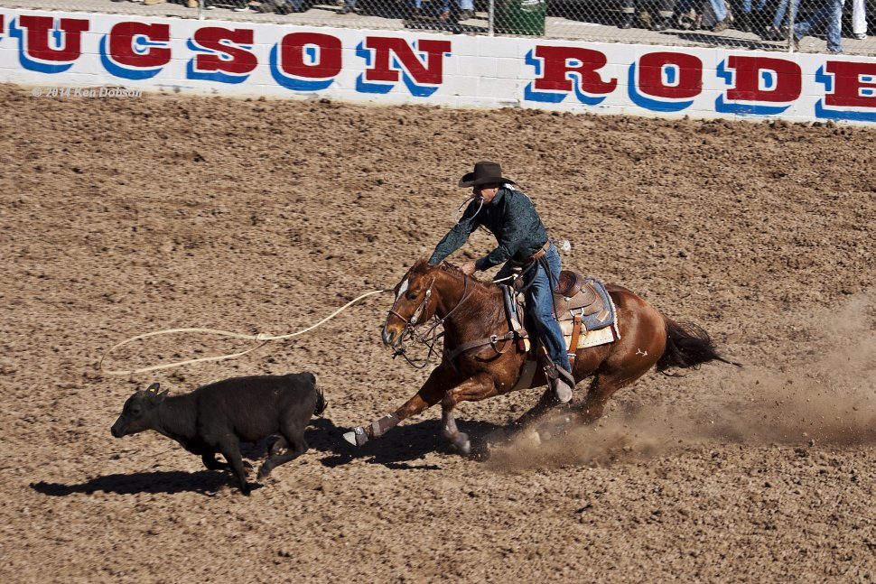 Calf Roping