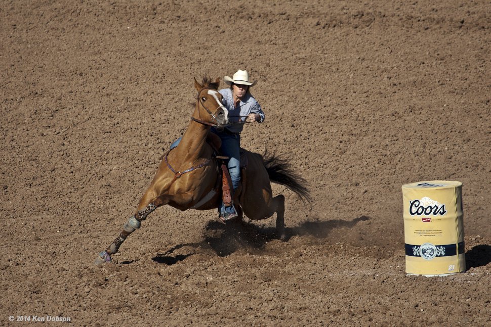 Barrel Racing #5