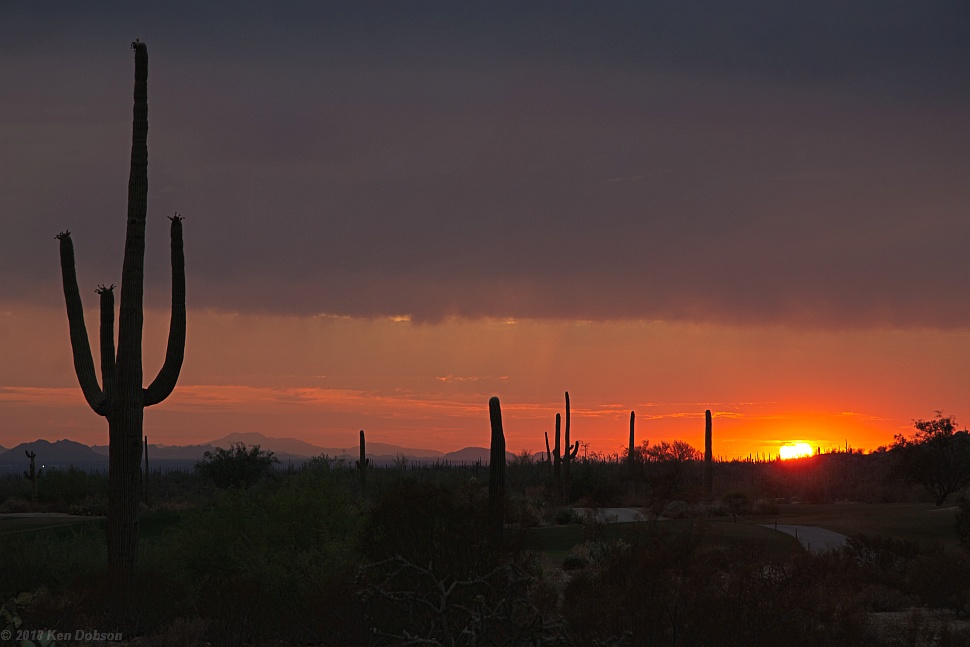 Dove Mountain Sunset