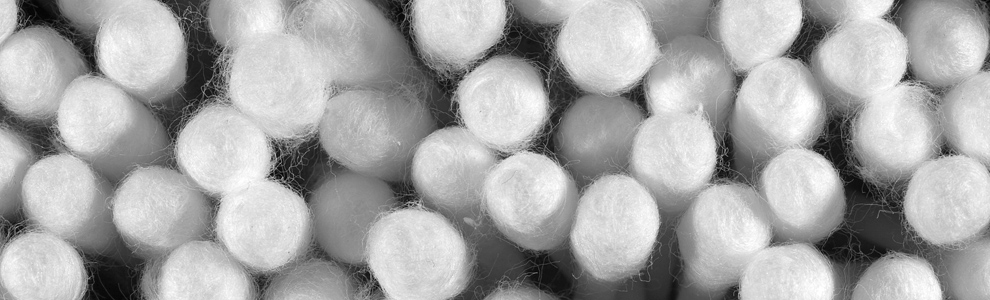 About Dobson Central Photography