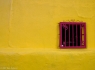 Fuschia Window