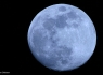 Blue Moon