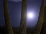 Hunters Moon & Sentinel