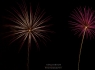 Fireworks #4 of 4