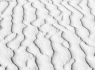 White Sand Waves