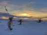 White Sands Sunrise