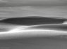 Silver Dunes
