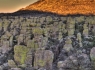 Chiracahua Sunrise (Panorama)