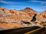 Valley of Fire Road #3