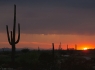 Dove Mountain Sunset